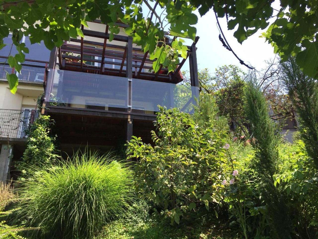 Pergola House In A Green Oasis With Fantastic View Petrovaradin Exteriör bild
