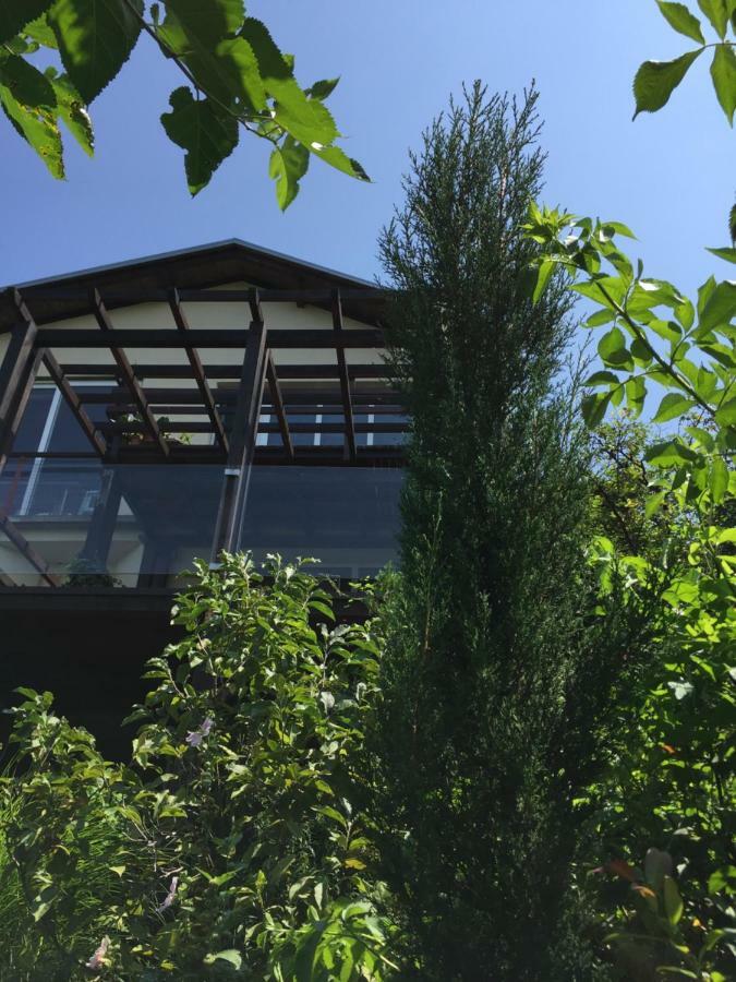 Pergola House In A Green Oasis With Fantastic View Lägenhet Petrovaradin Exteriör bild